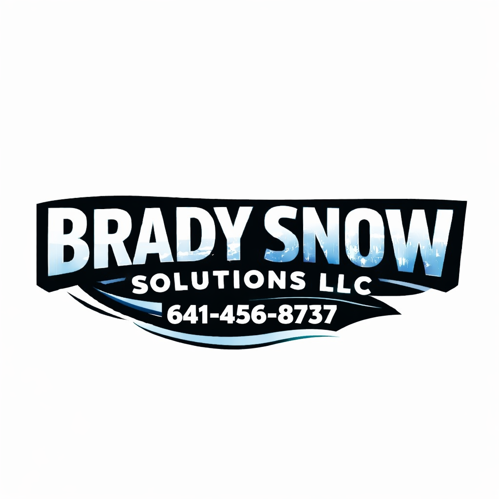 Brady Snow Solutions